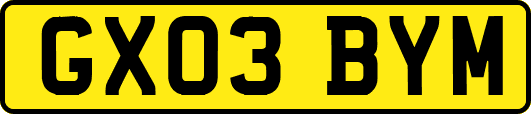 GX03BYM