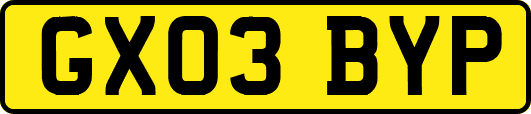 GX03BYP