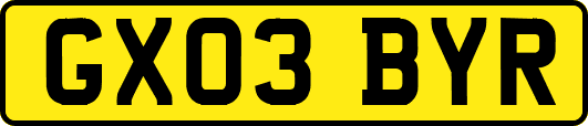 GX03BYR