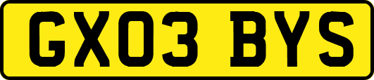 GX03BYS