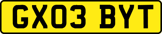 GX03BYT