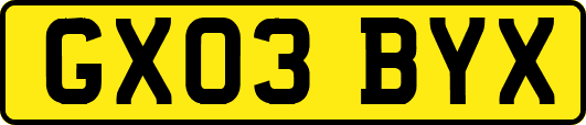 GX03BYX
