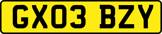 GX03BZY