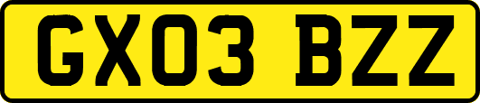 GX03BZZ