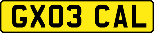 GX03CAL