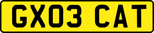GX03CAT