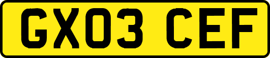 GX03CEF
