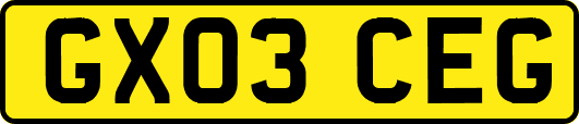 GX03CEG