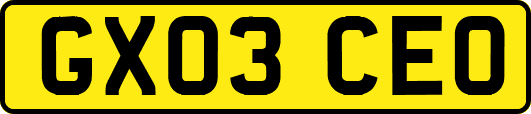 GX03CEO