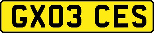 GX03CES