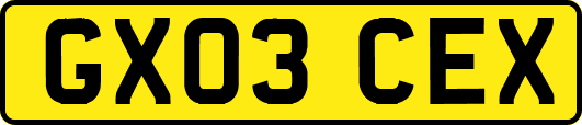 GX03CEX