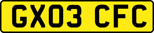 GX03CFC