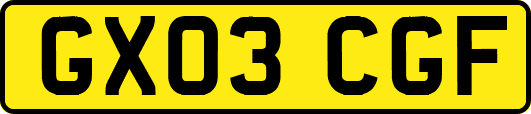 GX03CGF