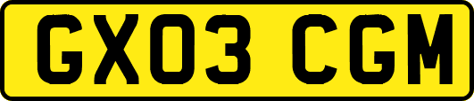 GX03CGM