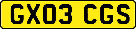 GX03CGS