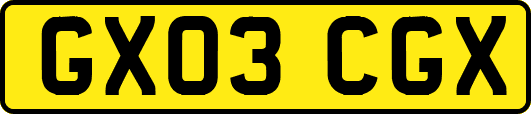 GX03CGX