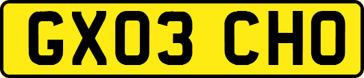 GX03CHO