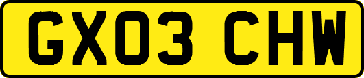 GX03CHW