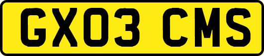 GX03CMS