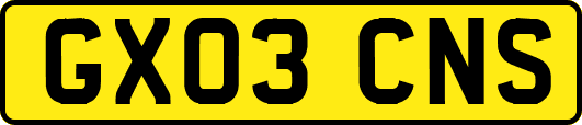 GX03CNS