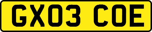 GX03COE