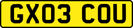 GX03COU