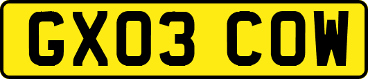 GX03COW