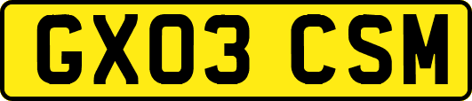 GX03CSM