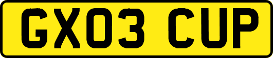 GX03CUP