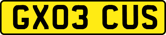 GX03CUS