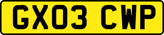 GX03CWP