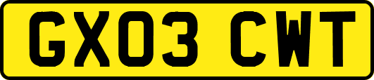 GX03CWT
