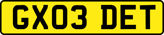 GX03DET