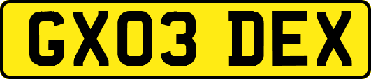 GX03DEX