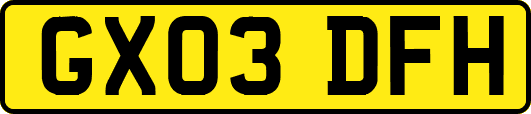 GX03DFH