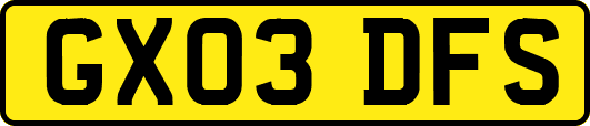 GX03DFS