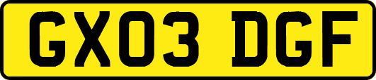 GX03DGF