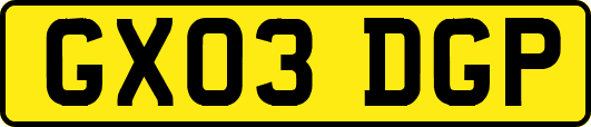 GX03DGP