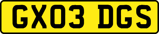 GX03DGS