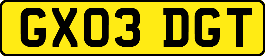 GX03DGT
