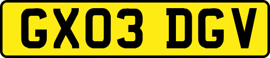GX03DGV