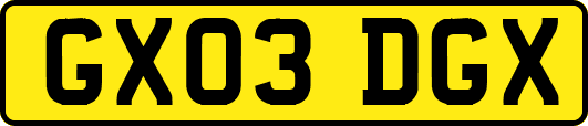 GX03DGX