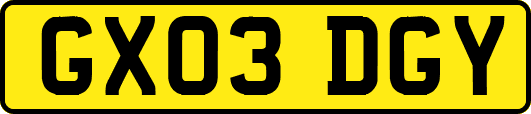 GX03DGY