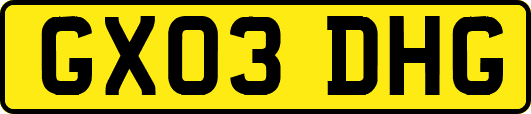 GX03DHG