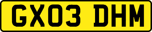 GX03DHM