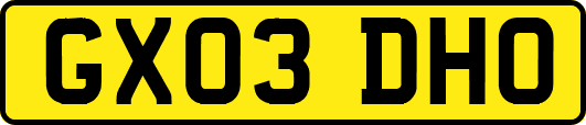 GX03DHO