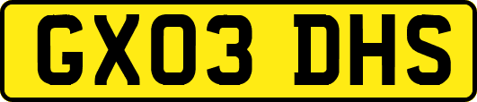 GX03DHS