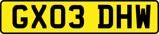 GX03DHW
