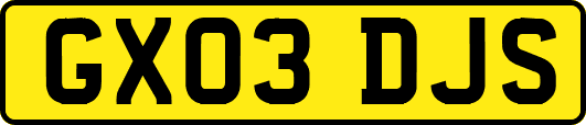 GX03DJS