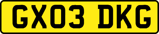 GX03DKG